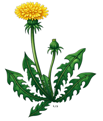 ASD-Itzehoe GmbH – Ambulante Assistenz in Itzehoe